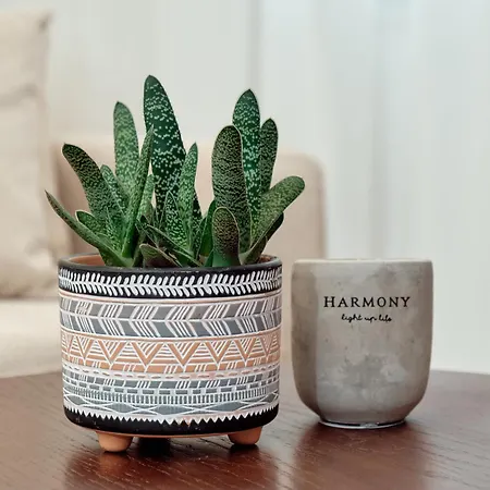 Godija 1 Διαμέρισμα